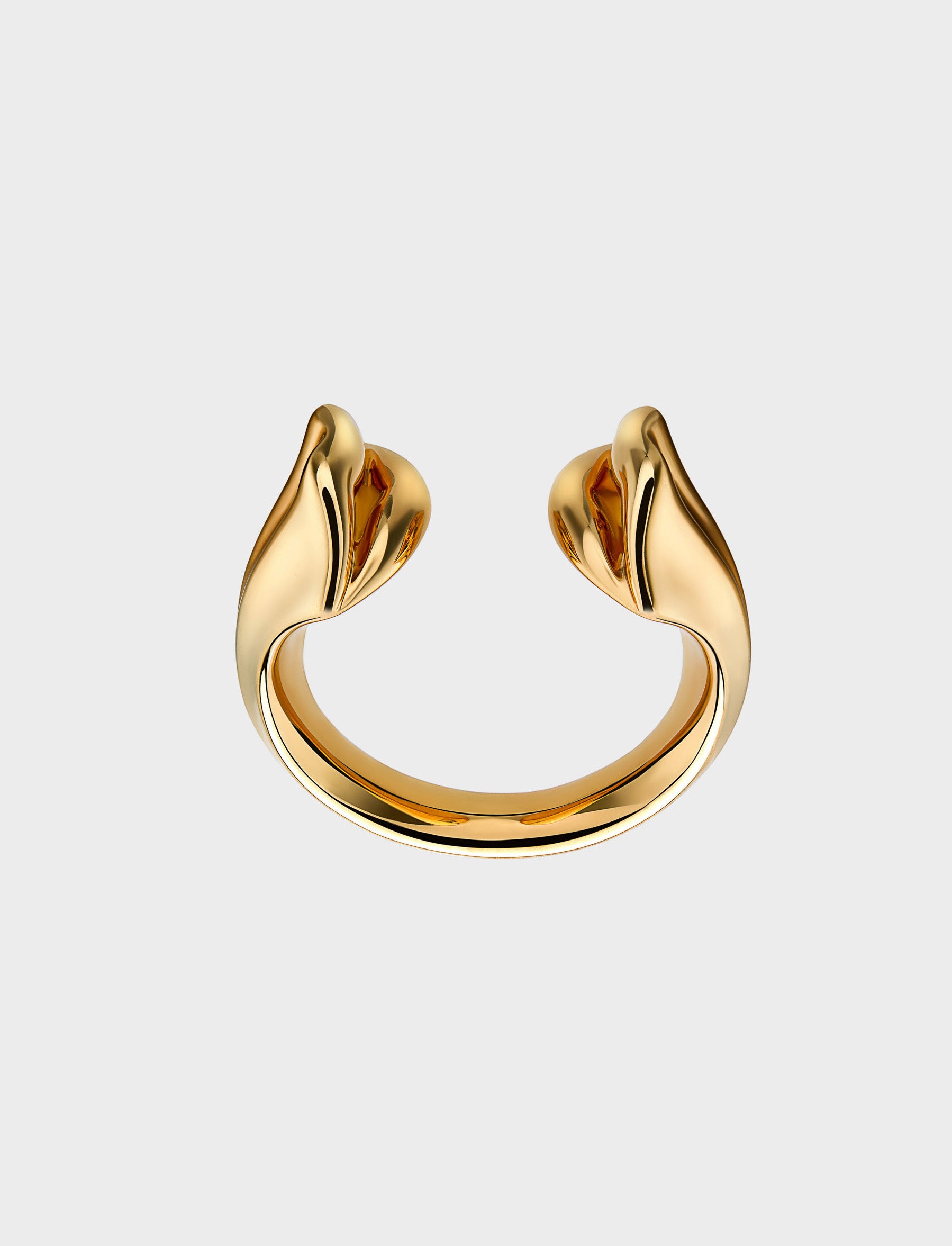 Gold Kiss Ring