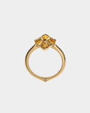 Marquis Yellow Sapphires