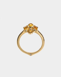 Marquis Yellow Sapphires